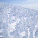 Thumbnail of post image 089