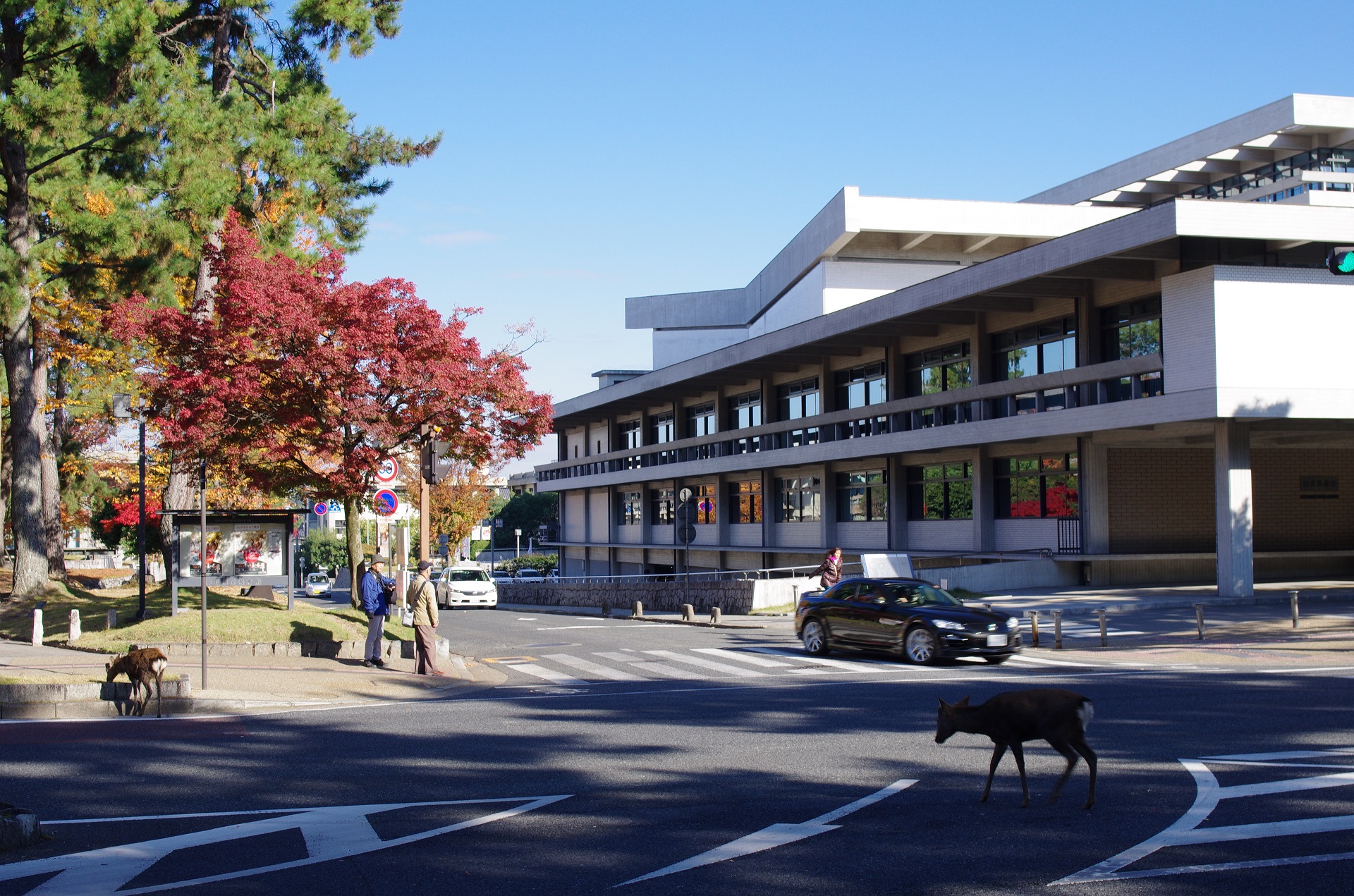 Thumbnail of post image 023